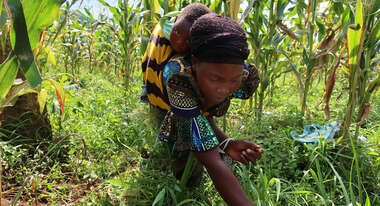 Eine Frau trägt ihr Baby auf dem Rücken, während sie auf dem Feld arbeitet, Kongo 2021.