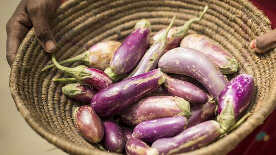 Gemüse in einem Korb