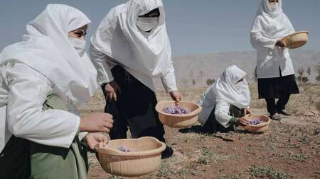 Mehrere Frauen stehen auf einem Feld.