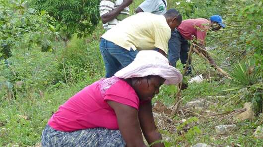 Bäuerinnen und Bauern bauen einen kleinen Steinwall zum Schutz gegen Erosion auf Haiti.