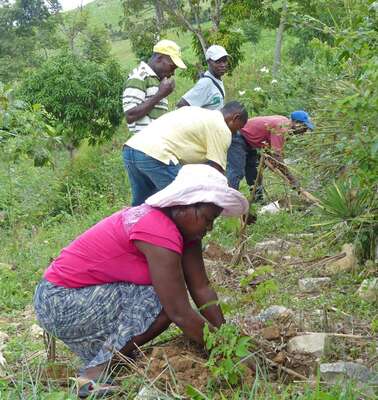 Bäuerinnen und Bauern bauen einen kleinen Steinwall zum Schutz gegen Erosion auf Haiti.