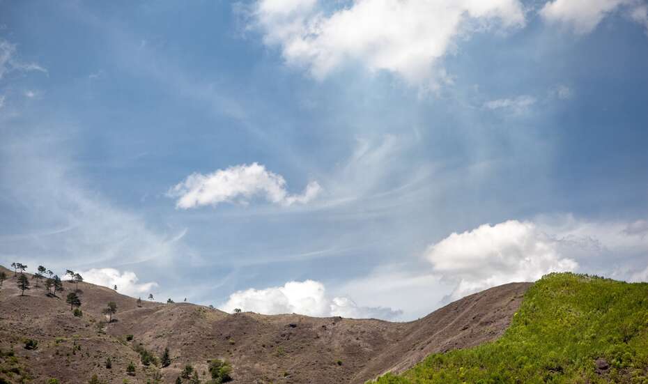 Kahle Landschaft neben aufgeforsteten grünen Feldern. 
