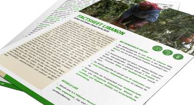  Vorschaubild des Factsheets zur Arbeit der Welthungerhilfe im Libanon