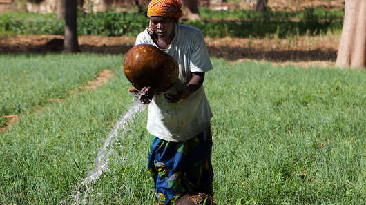 Eine Frau bewässert einen Garten, Mali, 2013.