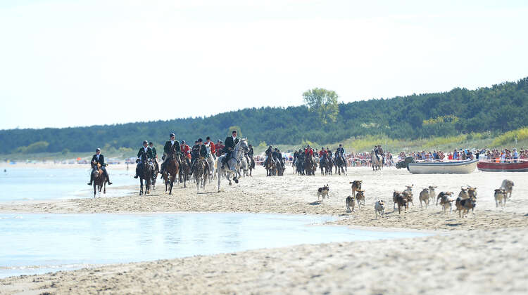 Reiter/innen beim Usedom Cross Country 2018.