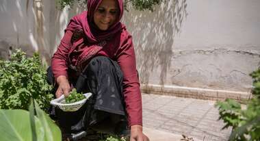 Afghanistan: Gastbeitrag Gemüse, Projektteilnehmerin Zia Gul, 2020.