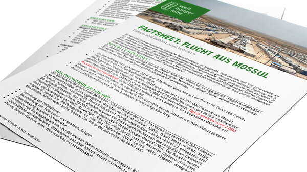 Deckblatt: Factsheet zur Flucht aus Mossul - Fakten und Zahlen
