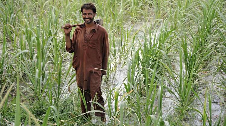 Ein Mann geht lächelnd über ein Mais-Feld.