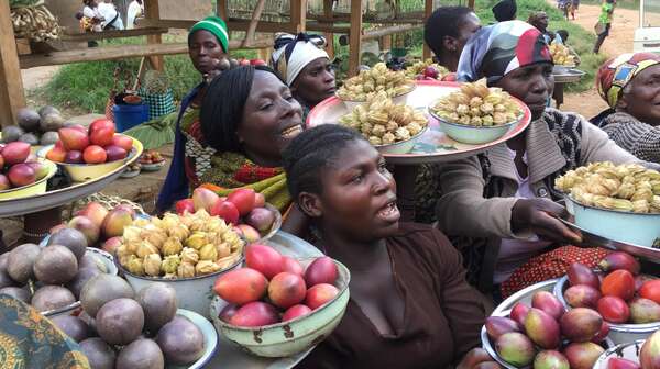 Frauen auf einem Markt mit ihrer Ware, Kongo, Nordosten, Ituri Kongo northeast Ituri.
