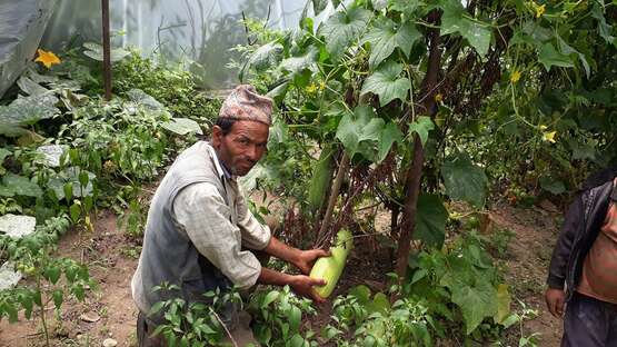 Nachhaltige Landwirtschaft: Mit Ihrer Hilfe für Asien ist eine Umstellung möglich.