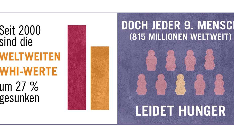 Auszug aus dem WHI 2017: Seit 2000 sind die weltweiten WHI-Werte um 27 % gesunken.