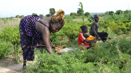Frauen bei Feldarbeit