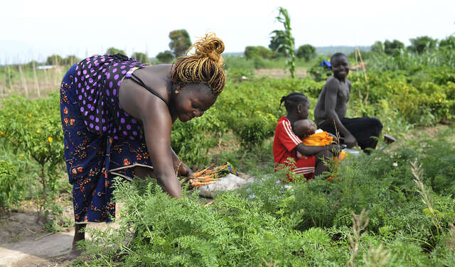 Frauen bei Feldarbeit