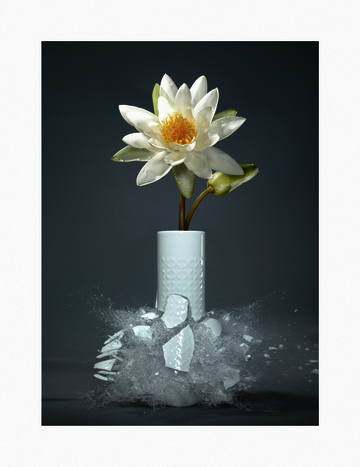 Inkjet Print von Martin Klimas: Ohne Titel (Nymphae Alba), 2018