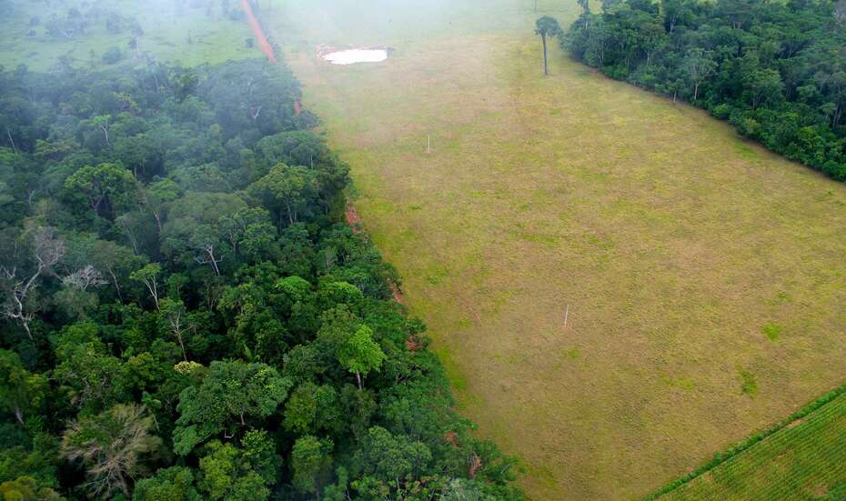 Bolivien hat die dritthöchste Entwaldungsrate weltweit. Landgrabbing ist ein großes Problem. Wir schulen die Bevölkerung und entwickeln Strategien, um die Forderungen der lokalen Gemeinschaften zu vertreten. Unterstützen Sie mit Ihrer Bolivien-Spende.