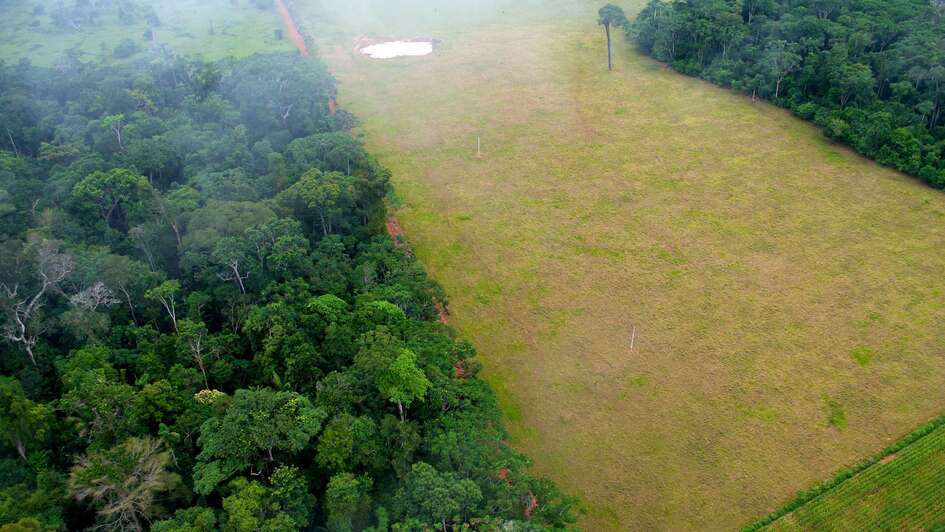 Deforestation Bolivia 