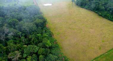 Deforestation Bolivia 