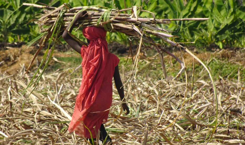 Kinderarbeit_Global_march_Indien_Maedchen