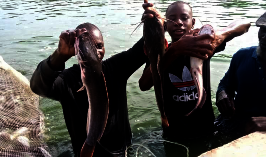 Zwei Männer halten die gerade gefangenen Fische hoch, Mali 2021. 