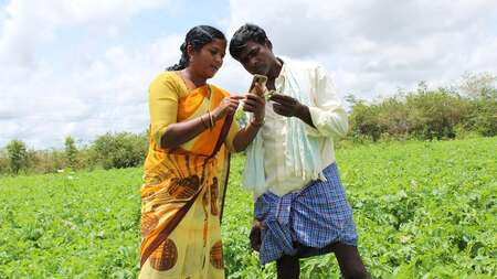 Eine indische Jugendliche erklärt einem Bauern auf einem Feld, wie er die App Sativus nutzen kann.