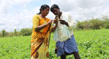 Eine indische Jugendliche erklärt einem Bauern auf einem Feld, wie er die App Sativus nutzen kann.