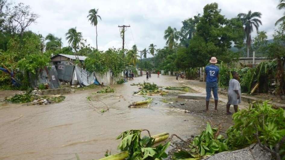 Verwüstete Straße mit zerstörten Häusern und abgeknickten Bäumen