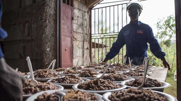zwei Männer tragen eine Platte mit gefüllten Tellern aus dem Haus