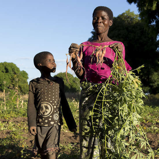 Eine Frau und ein Kind stehen auf einem Feld. Die Frau hält stolz eine Rübe in die Luft.
