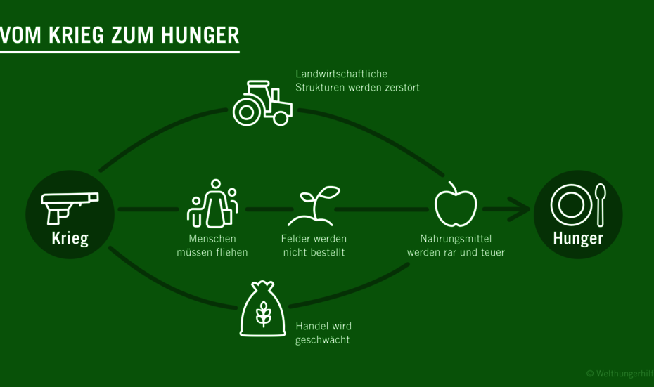 Spenden Mali - Bildbeschreibung: Diagramm der Verbindung von Krieg und Hunger in Mali