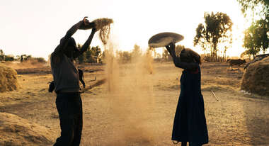 Bauern im aethiopischen Dorf Sodo bei der Getreideernte.