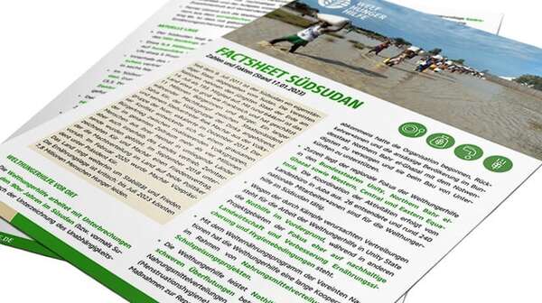Teaser Factsheet Südsudan