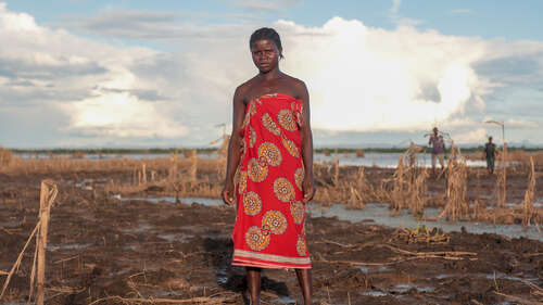 Eine Frau steht auf einem zerstörten Maisfeld.
