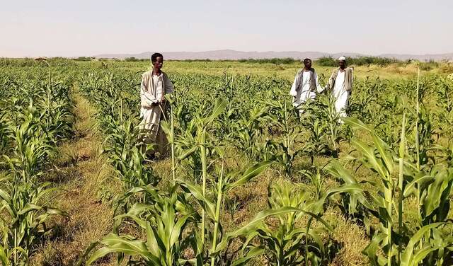 Drei Bauern stehen auf einem Feld.