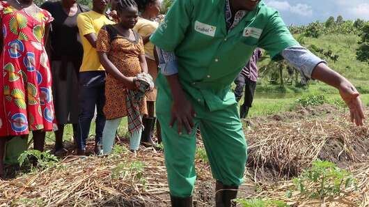 Ein Mann in grünem Overall zeigt jungen Menschen etwas auf einem Gemüsebeet.