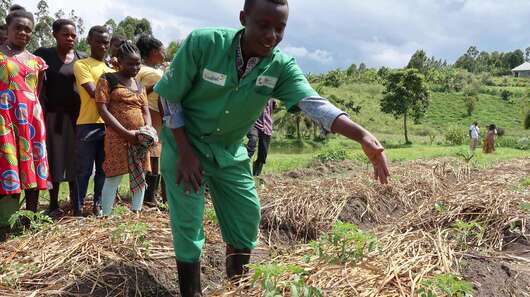 Eine Person in grünem Overall zeigt jungen Menschen etwas auf einem Gemüsebeet.