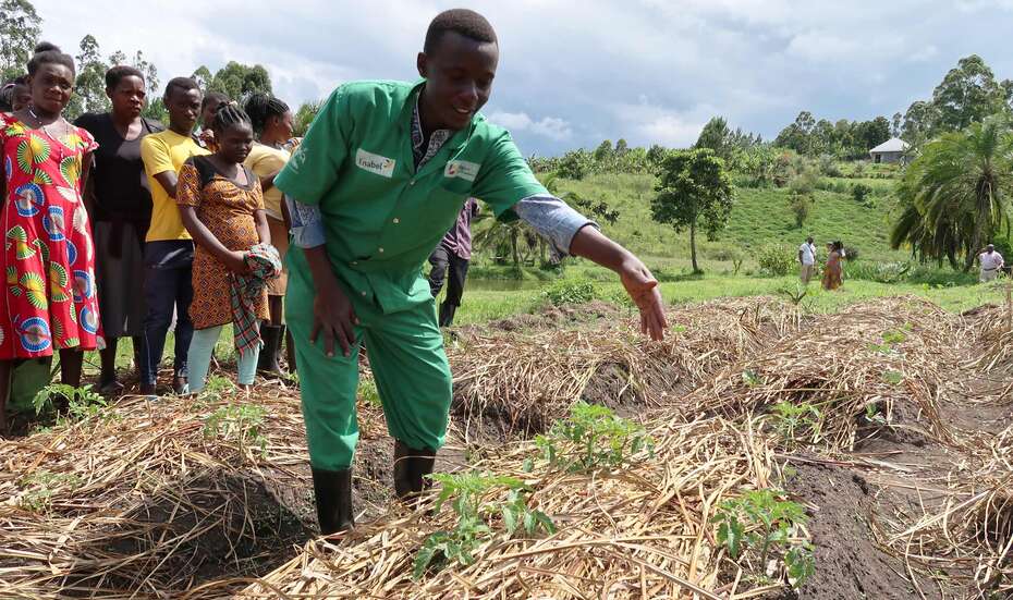 Ein Mann in grünem Overall zeigt jungen Menschen etwas auf einem Gemüsebeet.