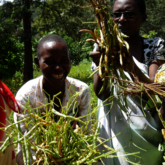 Vier lachende Frauen