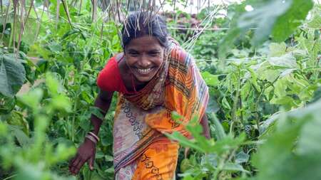 Frau klettert durch Dschungel auf dem Land