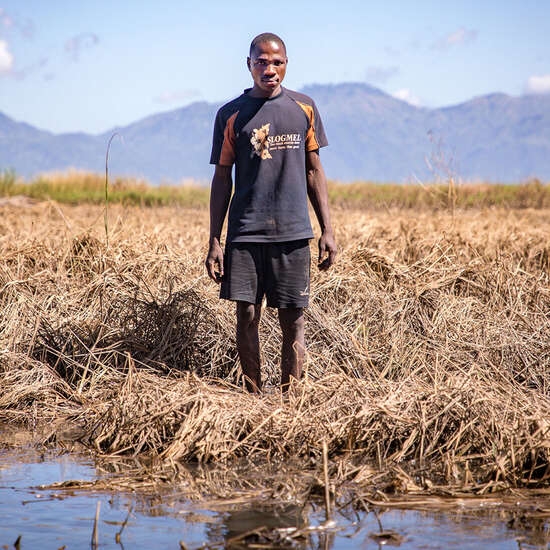 Ein Bauer steht auf seinem von einem Zyklon zerstörten Feld in Malawi. Vorausschauendes humanitäres Handeln kann die negativen Konsequenzen solcher Katastrophen lindern.