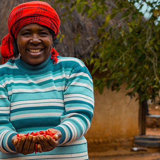 Frau aus Simbabwe präsentiert ihre geernteten Chilis
