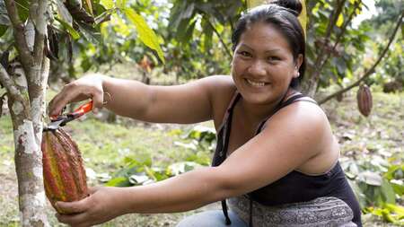 Landrechte von Kleinbauern stärken.